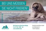 Etagenwohnung Oedheim - 3 Zimmer, 59 m&sup2;, 925&euro; | Angebot:25887860
