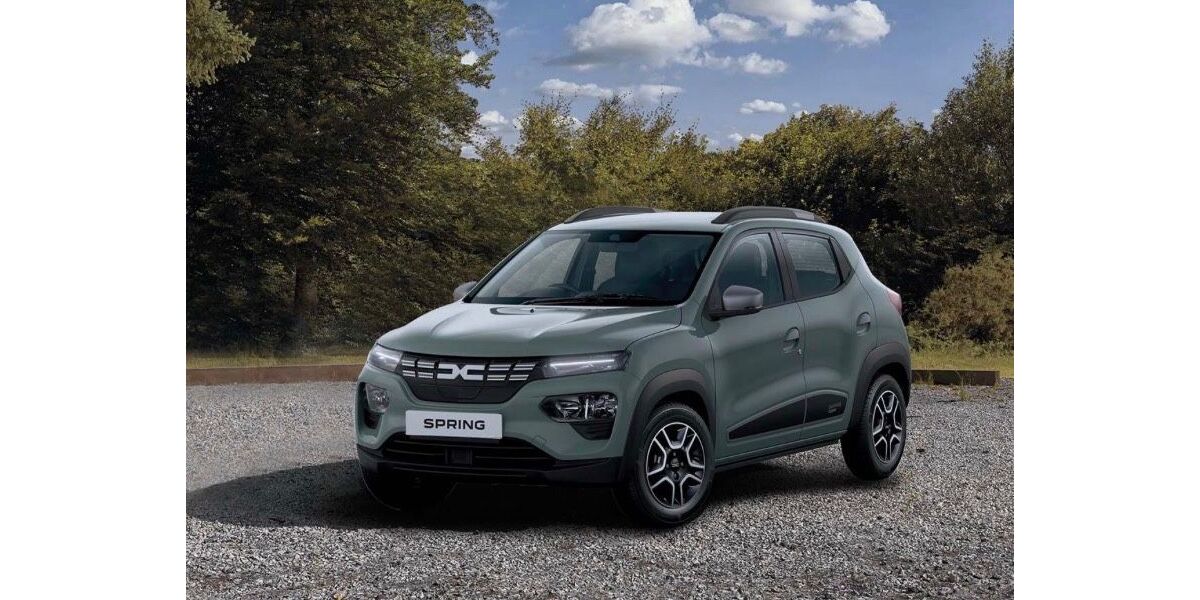 Dacia Spring 25.100 km 11.500 &euro; Oberstenfeld 71720