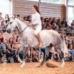 Key to Horses Event Heilbronn