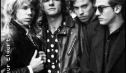 The Del Fuegos